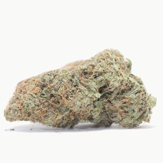 LA Native - Grape Cookies - Sungrown - 1