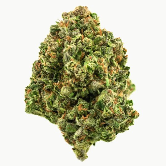 LA Native - Durban Dream - Sungrown - 1