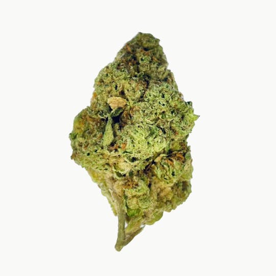 LA Native - All Gas OG - Sungrown - 1