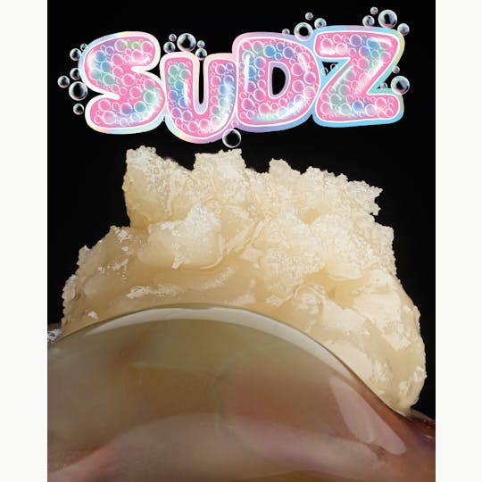 Rkive Reserve - Rkive | Sudz | 1g | Cold Cure - 1