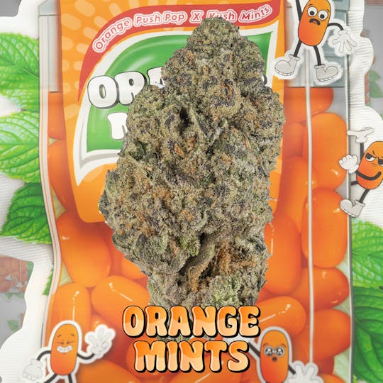 Rkive Reserve - Rkive | Orange Mints | 3.5g | Pre-Pack Flower - 1