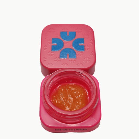 Casual - Casual | Black Cherry Pie | Badder | 1g - 1