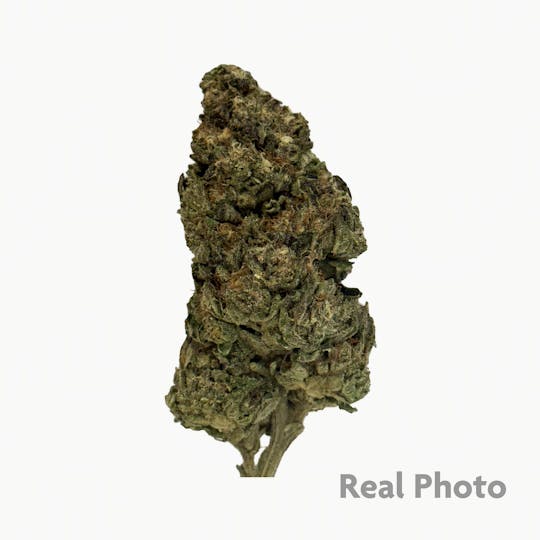 Stingers - Richie Rich - 14 gram - 1