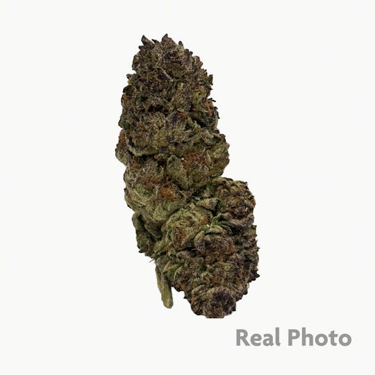 Stingers - Jungle Cake - 14 gram - 1