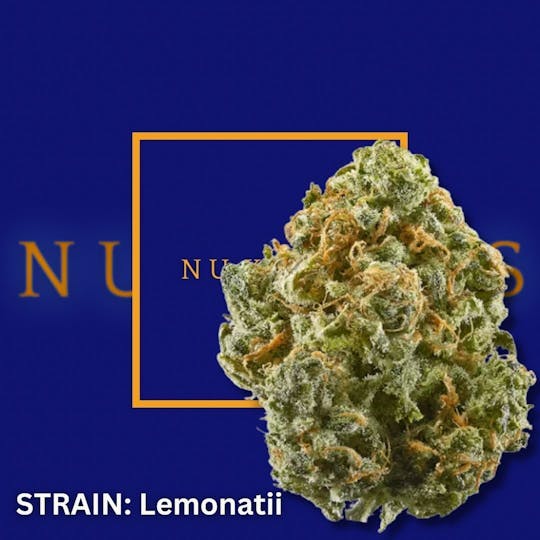 Nu Cannabis Brand - Kepos - Lemonatti 14g - PREMIUM FLOWERS - 1