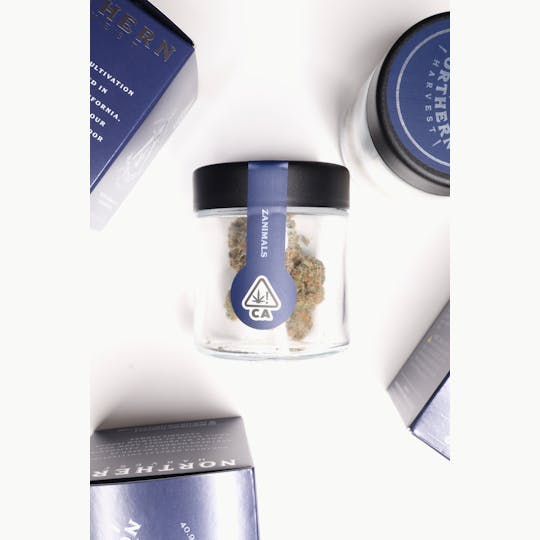 Northern Harvest - Zanimals - 1