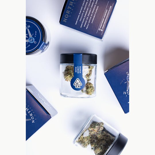 Northern Harvest - Super Lemon Haze - 1