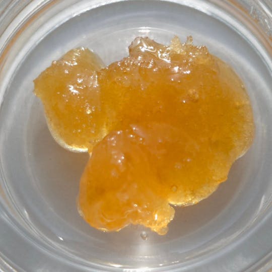 Fireweed Extracts - Hash Burger Terp Sugar - 1g - 1