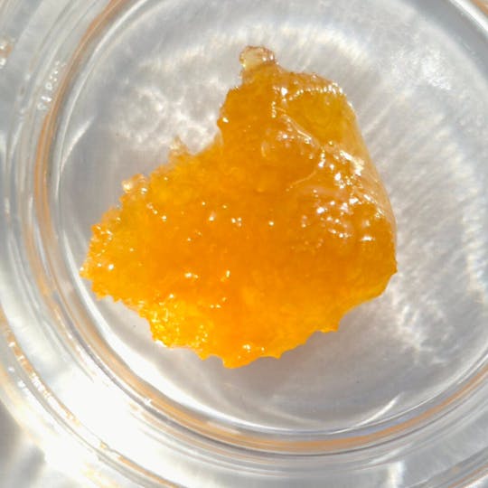 Fireweed Extracts - GMO Cookies Terp sugar - 0.5g - 1