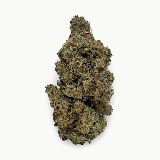 Indico - Full Court Sour - Rugged Roots - 1