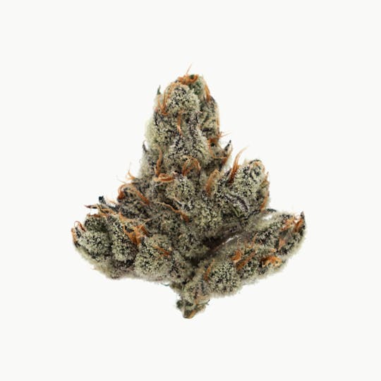 Zero Gravity Cannabis - Flower - Nor' Easter 60/40 Indica Dominant - 1