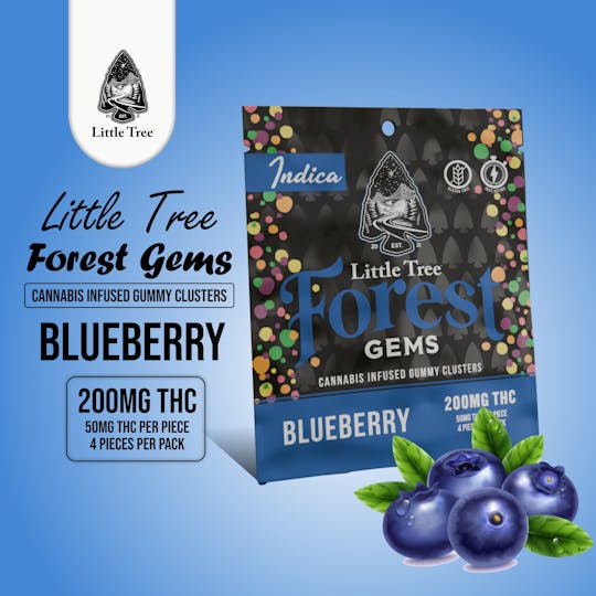 Little Tree - Little Tree Forest Gems Blueberry – 200MG - 1