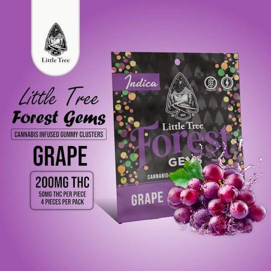 Little Tree - Little Tree Forest Gems Grape – 200MG - 1