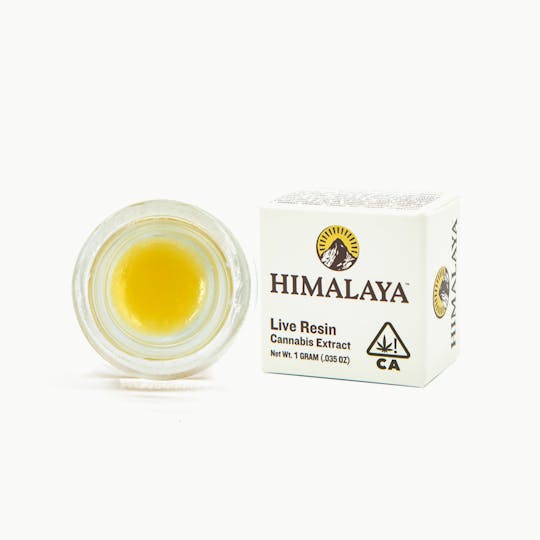 HIMALAYA - Crushmintz - Live Resin Concentrate - 1G - 1