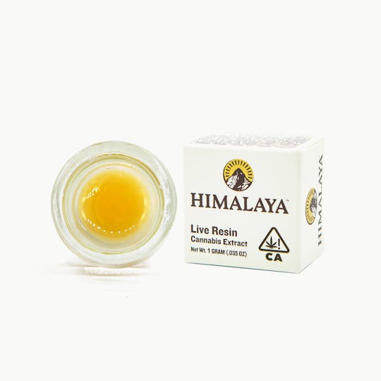 HIMALAYA - Sour Diesel - Live Resin Concentrate - 1G - 1