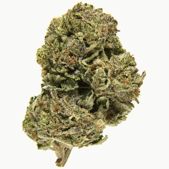 LA Native - Bubba - Mixed Light - 1