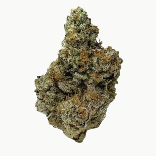 LA Native - Ice Cream Cake - Indoor Mids - 1