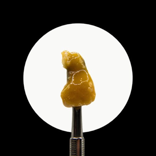 Ice Kream Hash Co. - IKHCO x Lyra | Big Winner | Live Rosin | 1g - 1