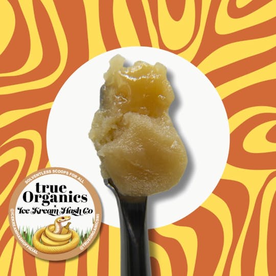 Ice Kream Hash Co. - IKHCO x True Organics | Bananaconda | Live Rosin | 1g - 1