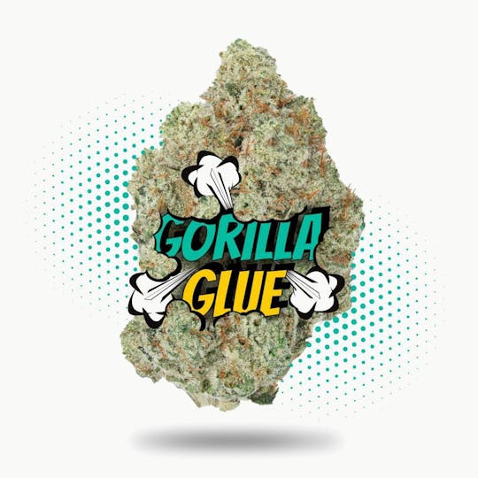 Frostiez - Gorilla Glue Smalls - Topshelf Indoor - New Drop - Hybrid - 1