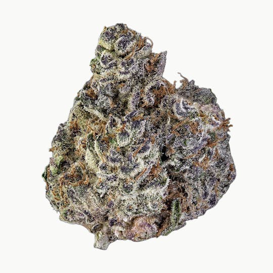 Frostiez - Uzumaki - Topshelf Indoor - New Drop - Hybrid - 1
