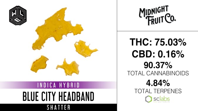 White Label Extracts - WLE | Blue City Headband | Shatter (1g) - 1