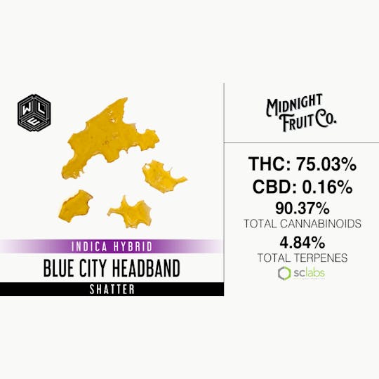 White Label Extracts - WLE | Blue City Headband | Shatter (1g) - 1