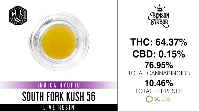 White Label Extracts - WLE | South Fork Kush 56 | Live Resin Sugar Sauce (1g) - 1