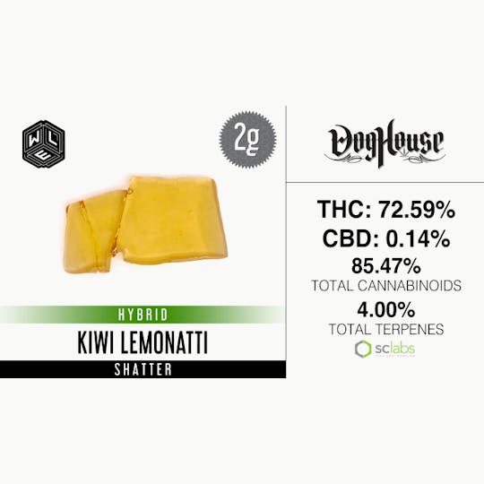White Label Extracts - WLE | Kiwi Lemonatti | Shatter (2g) - 1
