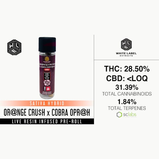 White Label Extracts - WLE | Orange Crush x Cobra Oprah | Live Resin Infused Pre-Roll (1.5g) - 1