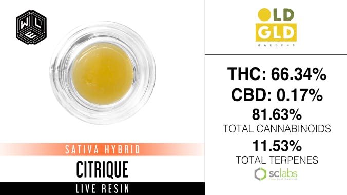 White Label Extracts - WLE | Citrique | Live Resin Sugar Sauce (1g) - 1