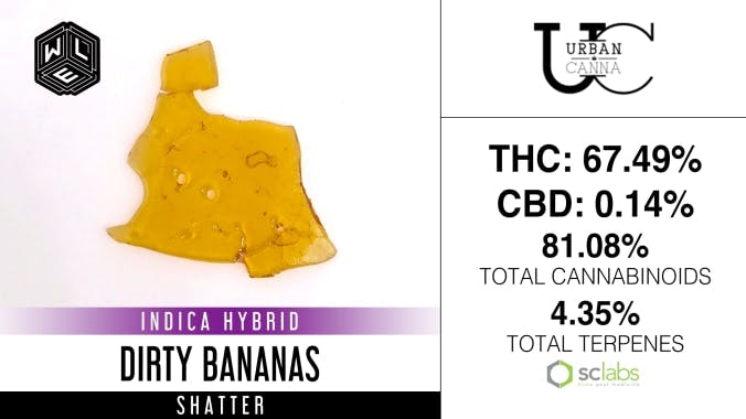 White Label Extracts - WLE | Dirty Bananas | Shatter (1g) - 1