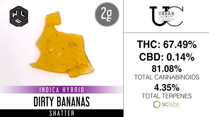 White Label Extracts - WLE | Dirty Bananas | Shatter (2g) - 1
