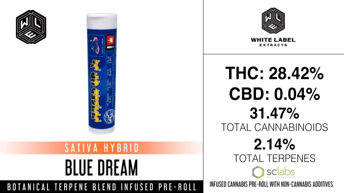 White Label Extracts - WLE | Juiced Up J's Blue Dream | Botanical Terpene Infused Pre-Roll (1g) - 1