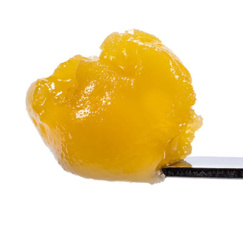 West Coast Cure Forbidden Haze Live Resin Badder