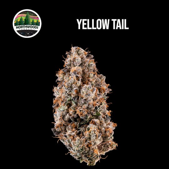 Northwoods Cannabis - Yellow Tail - 1