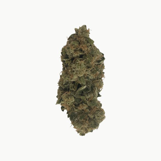 Indico - Zkittlez - Indico - 1