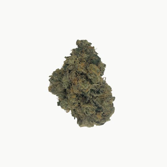 Indico - Candy Fumez - Indico - 1