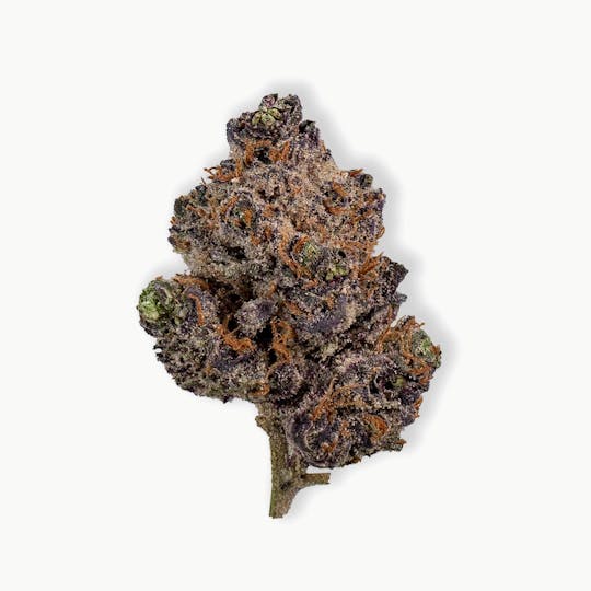 Frostiez - Jelly Runtz - Topshelf Indoor - New Drop - Hybrid - 1