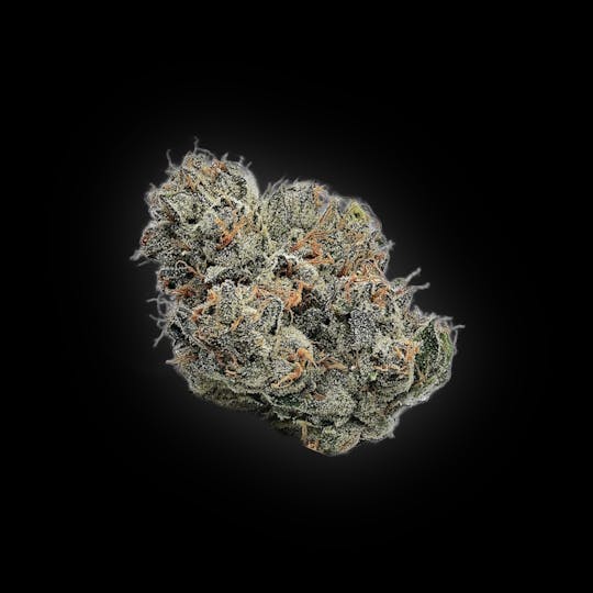 Auraz - Caleta Flower | Ice Cream Sherbet - 1