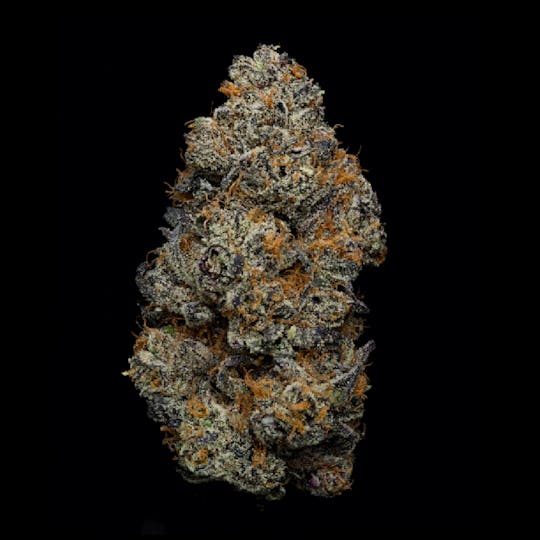 Auraz - Caleta Flower | Truffle Cookies - 1