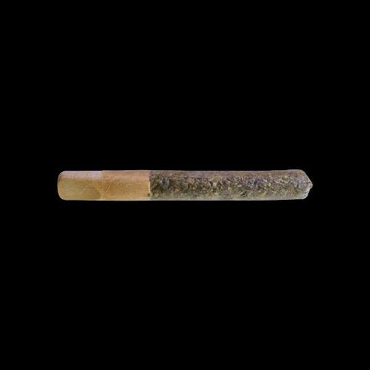Coastal Remedies - Cap Junky x Wedding Pie | 2.5g Preroll - 1