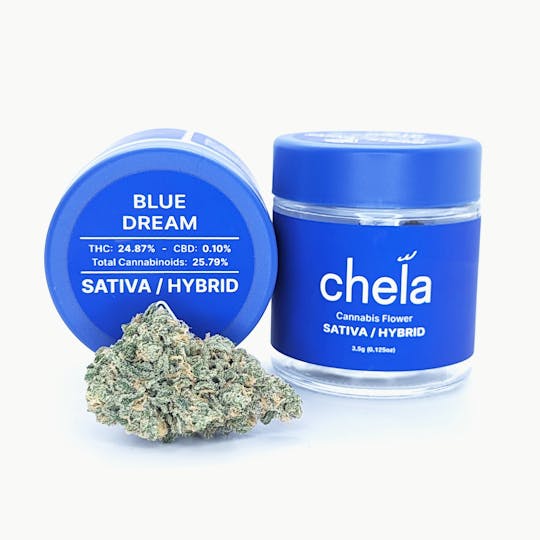 Chela - Chela - Indoor - Blue Dream - 1