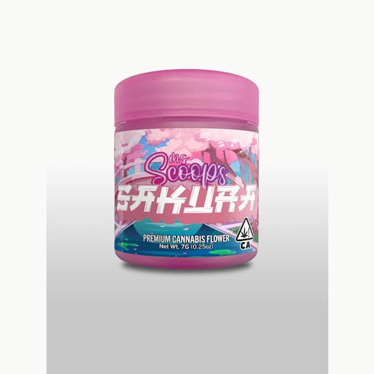 Ms. Scoops - Sakura - 1