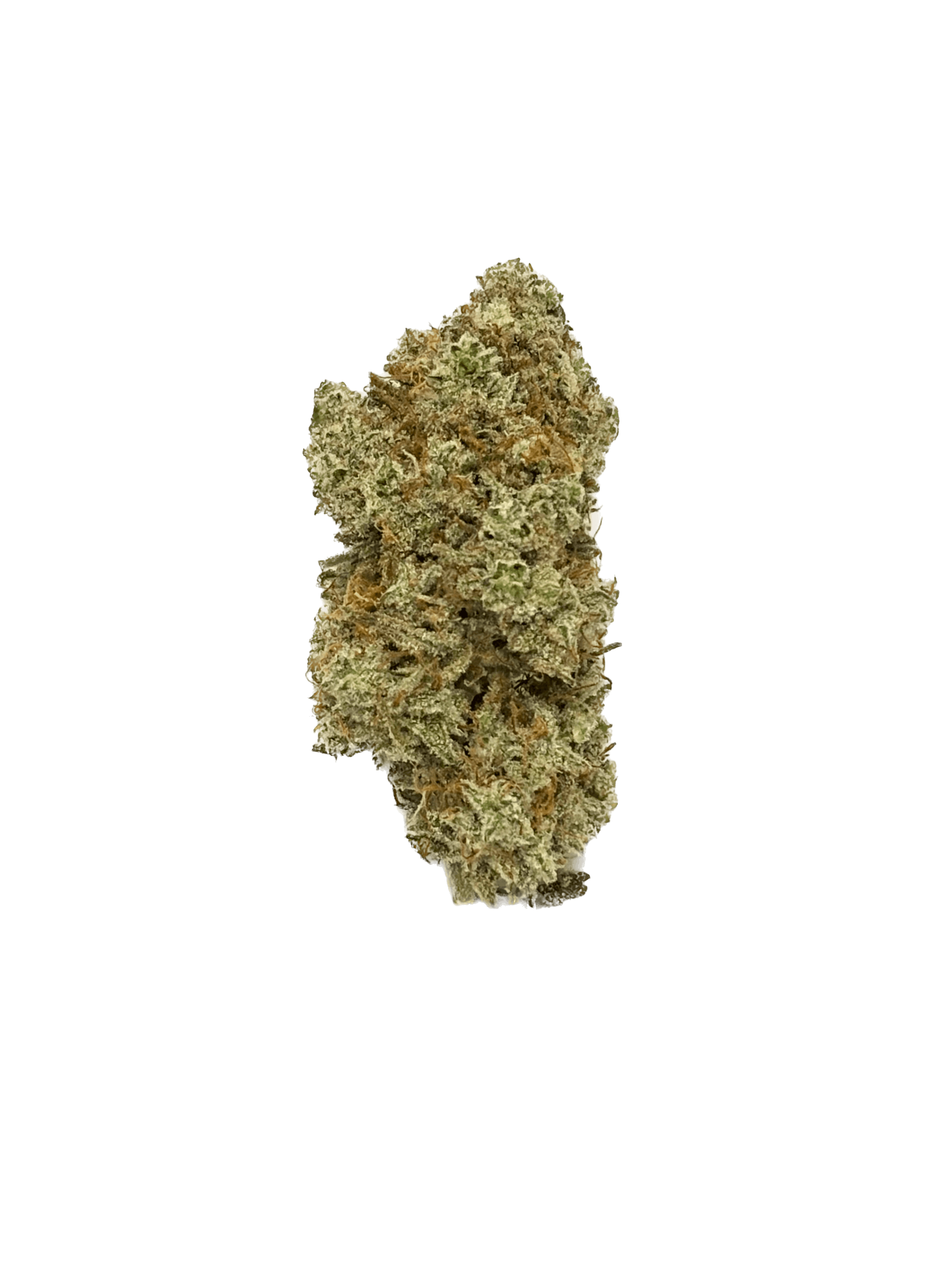 Dynastree - Platinum Garlic 50%I 50%S - 1