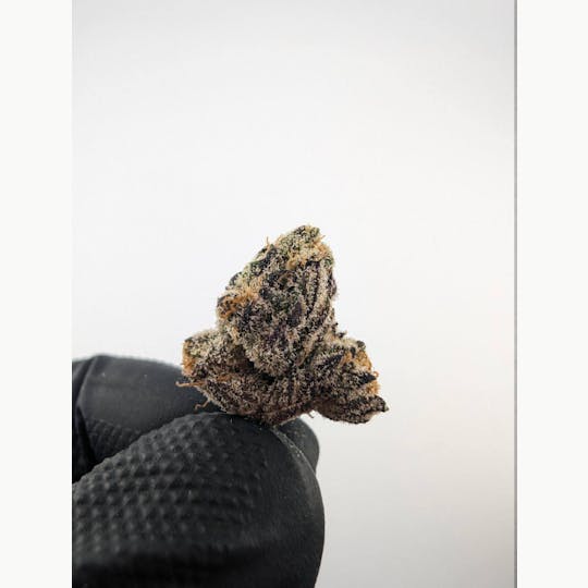 LA Native - Cherry Runtz - Indoor Mid Buds - 1