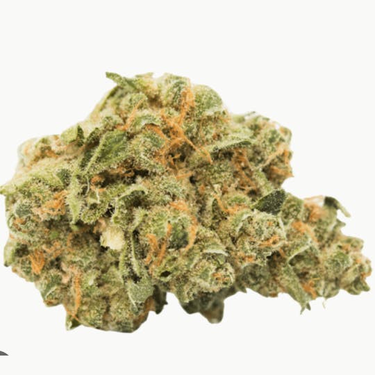 LA Native - Lions Cake - Indoor Mid Buds - 1