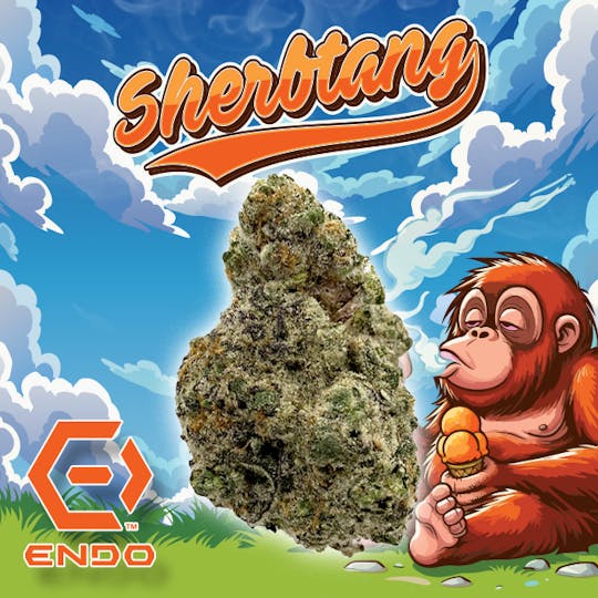 Endo - ENDO SHERBTANG 14G - 1