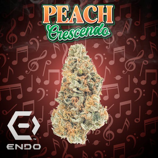 Endo - ENDO PEACH CRESCENDO 14G - 1