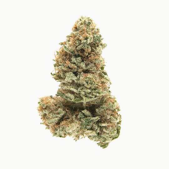 Frostiez - Black Bubble Gum - NEW DROP - PREMIUM FLOWER - Hybrid - 1